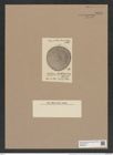 Stictodiscus huettlinerianus Tr. et W. (de-Toni-Nr.: Genus 205, Species 5237) Zeichnungen Sammlung Grunow Nr. 9070 (NHMW-BOT-W0378751)